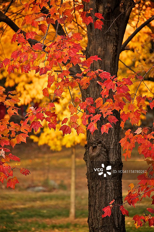 新英格兰的秋色图片素材