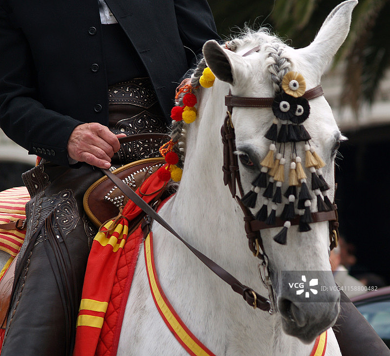 优雅风图片素材