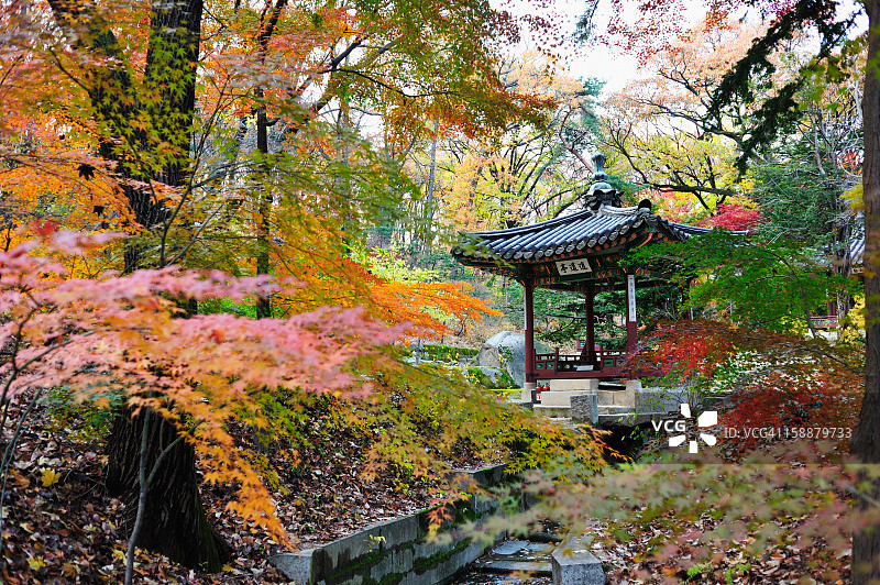 昌德宫秘苑图片素材