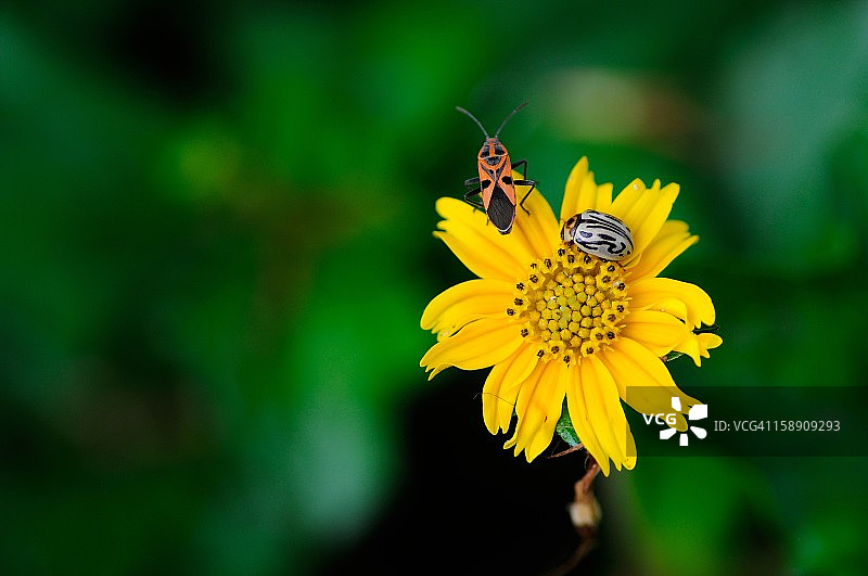 精彩三人组图片素材