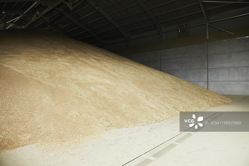 仓库中储存的谷物堆图片素材
