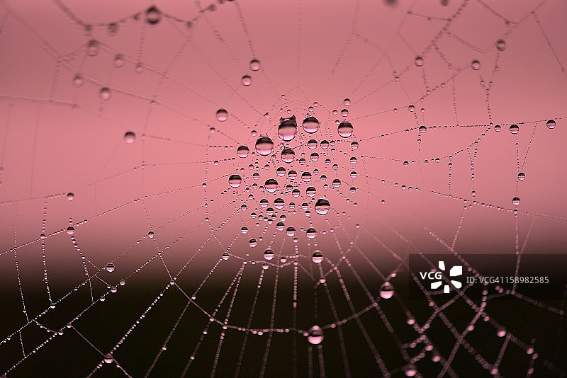 网络情缘图片素材