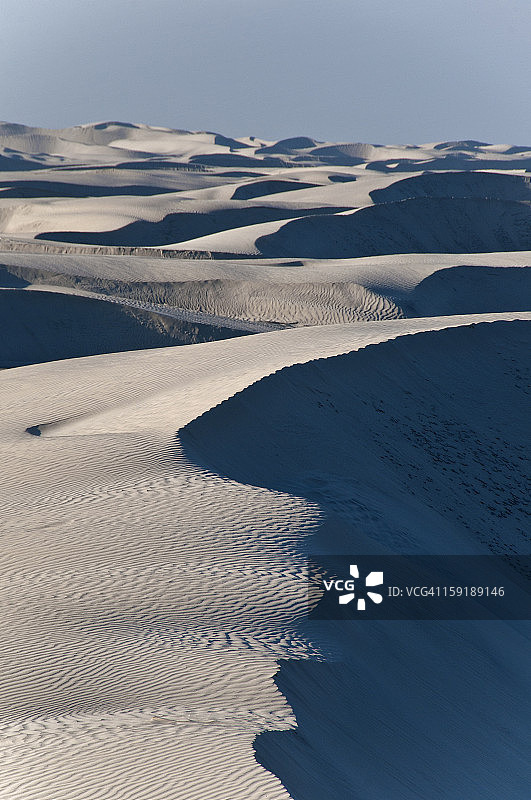 巴哈的沙丘图片素材