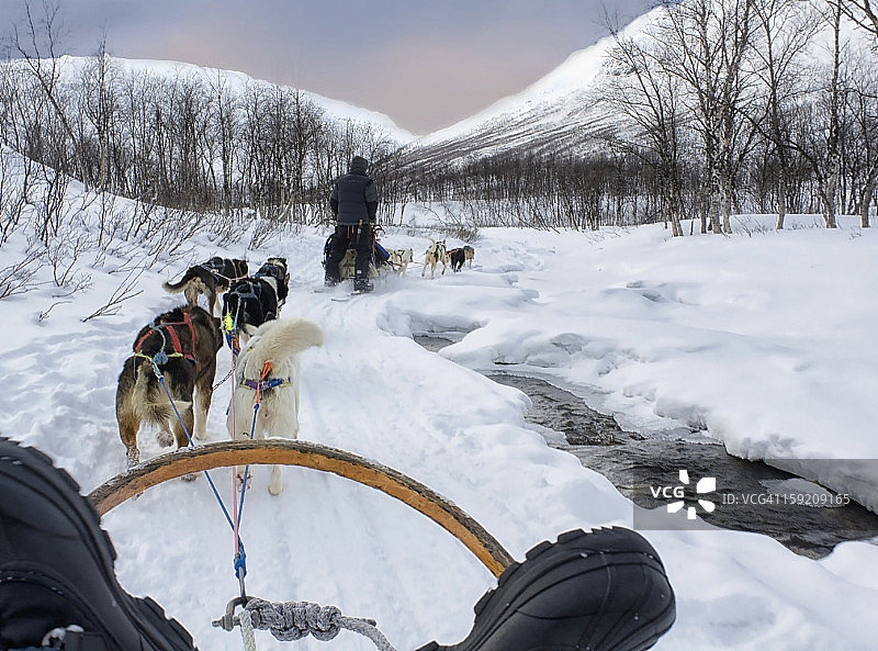 在挪威特罗姆瑟林根阿尔卑斯山的狗拉雪橇比赛图片素材
