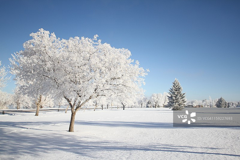 冬季霜冻图片素材
