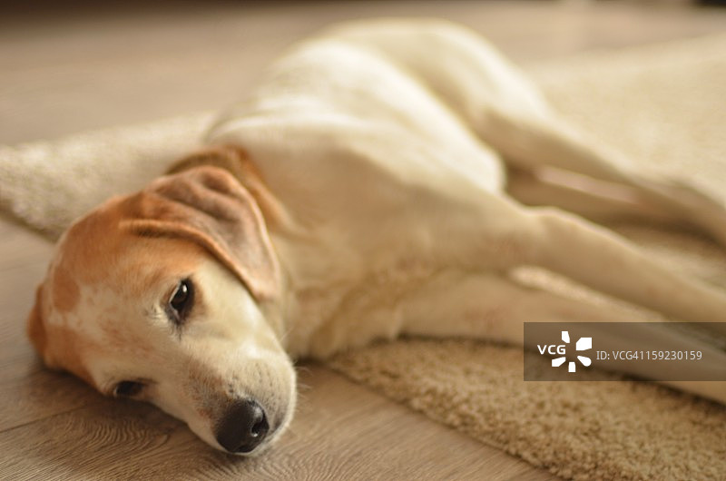 终极放松模式图片素材