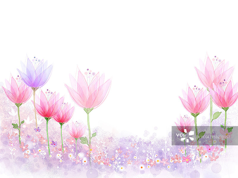 宁静的花朵图片素材