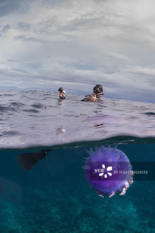 潜水员与水母图片素材