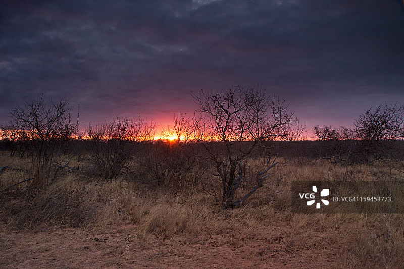 克鲁格的日落图片素材