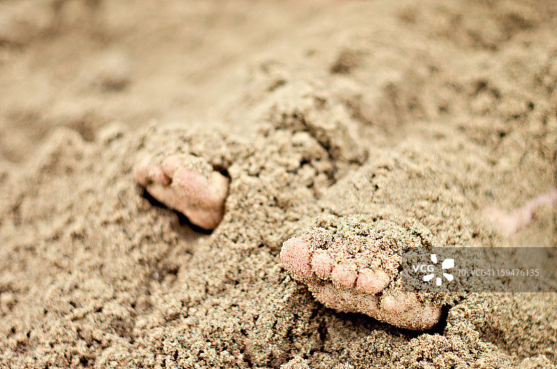沙滩上的脚趾图片素材