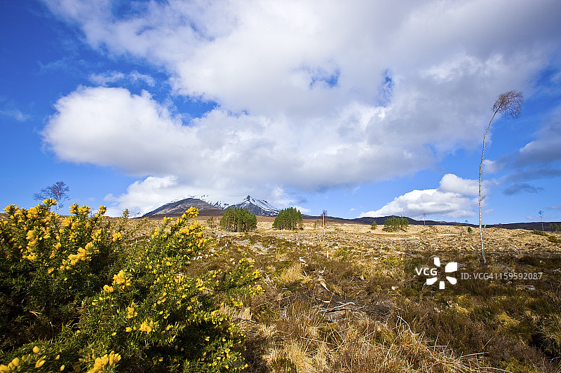 金洛克尤附近埃伊格山图片素材