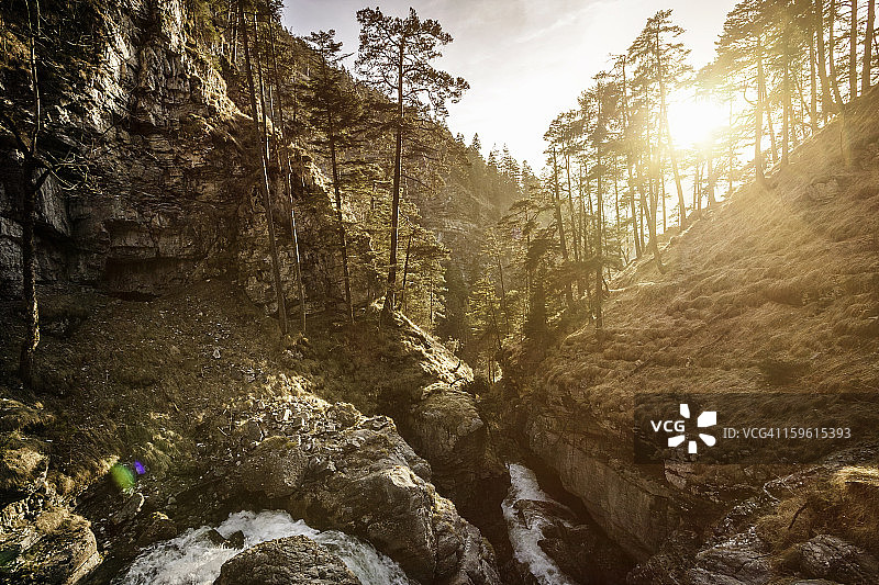 多岩乡村山坡上的树木图片素材