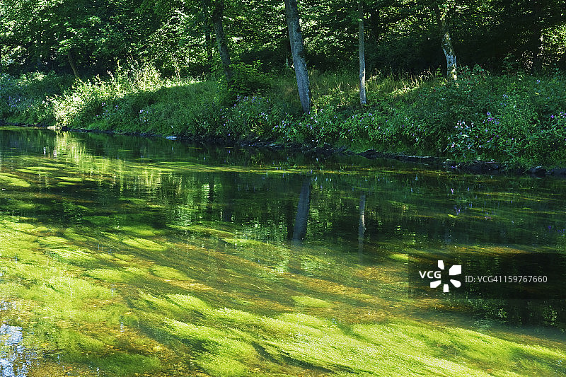 多瑙埃兴根附近的多瑙河图片素材