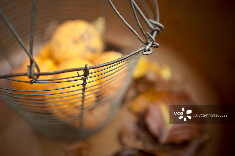 秋季复古园艺设备图片素材