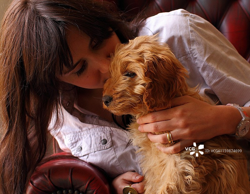 母犬和八周大的可卡颇犬幼犬图片素材