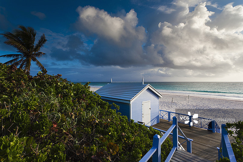 巴哈马群岛海港岛粉色沙滩图片素材