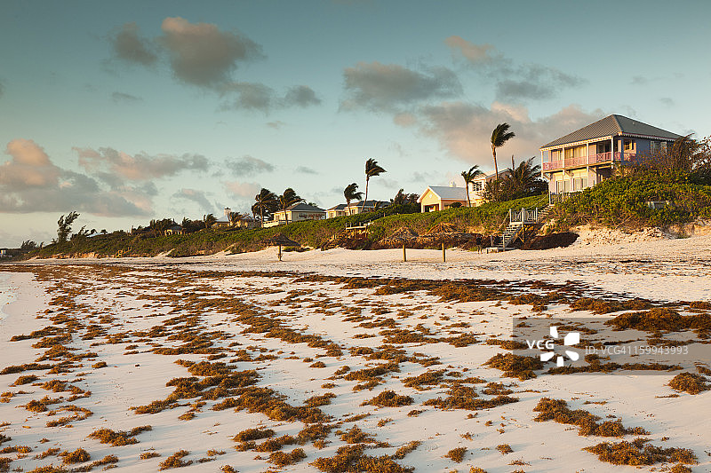 巴哈马群岛海港岛粉色沙滩图片素材