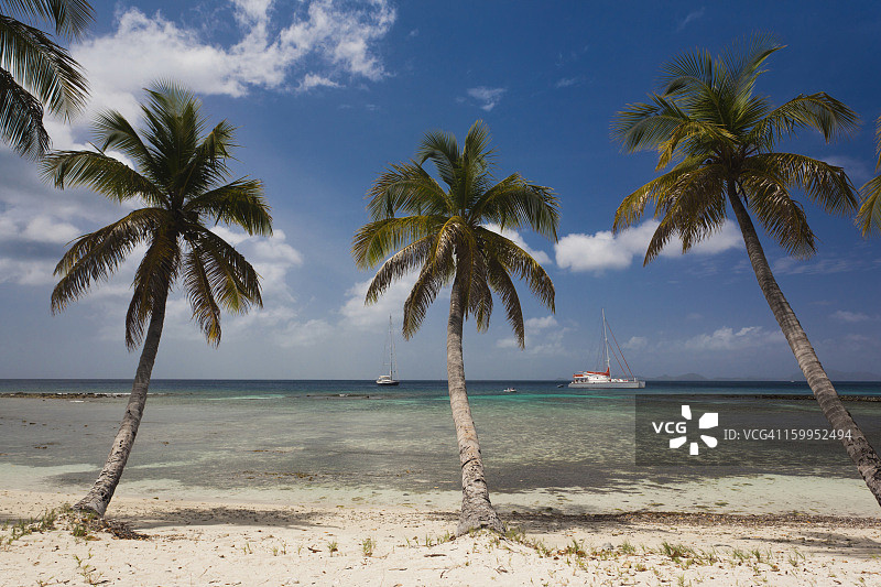 圣文森特岛穆斯蒂克海滩图片素材