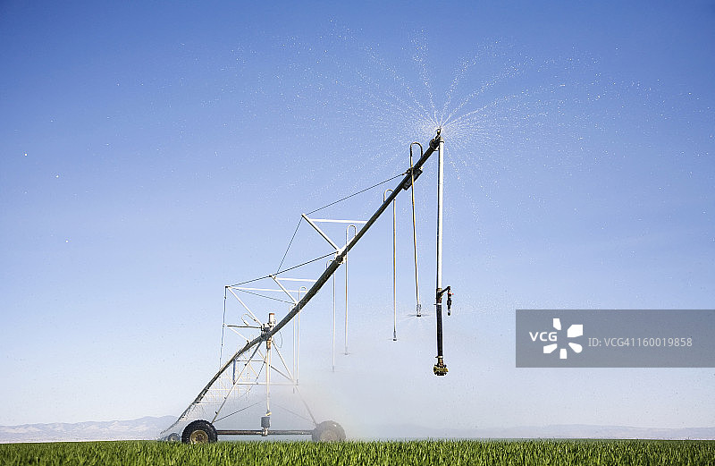 美国科罗拉多州，用喷灌机浇灌大麦田图片素材
