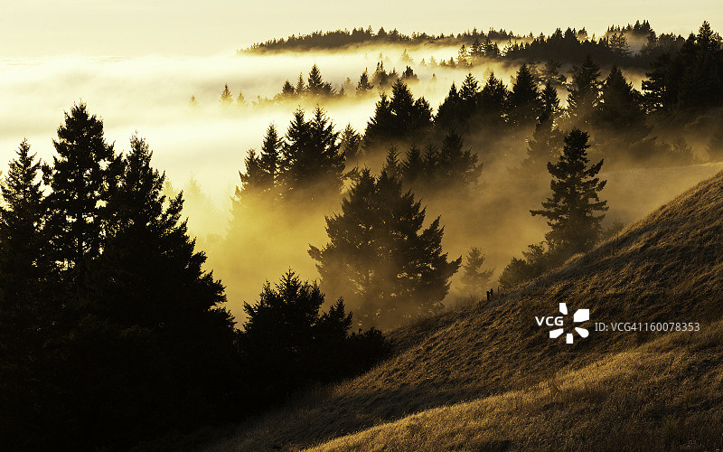 博利纳斯山脊图片素材