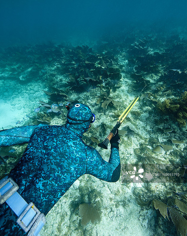 使用浮潜设备进行鱼叉捕鱼图片素材