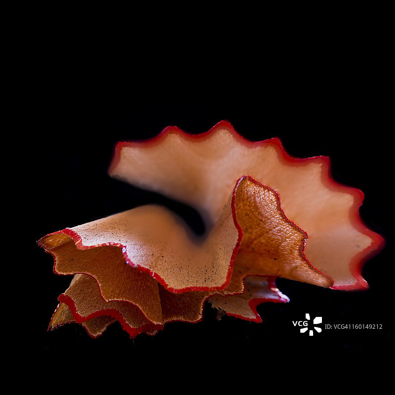 已准备图片素材