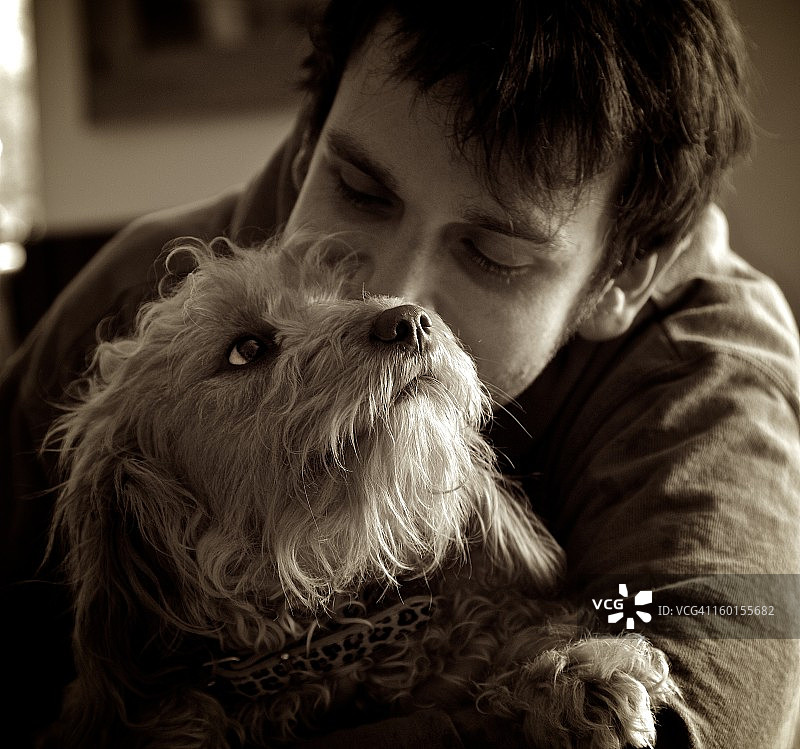 可能是爱 - 幼犬之爱图片素材