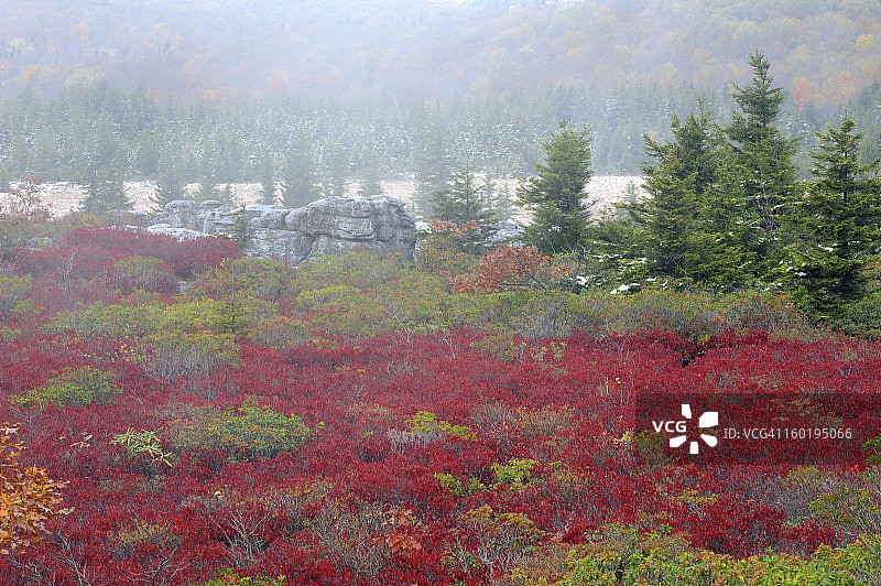 秋季的多莉索兹荒野图片素材