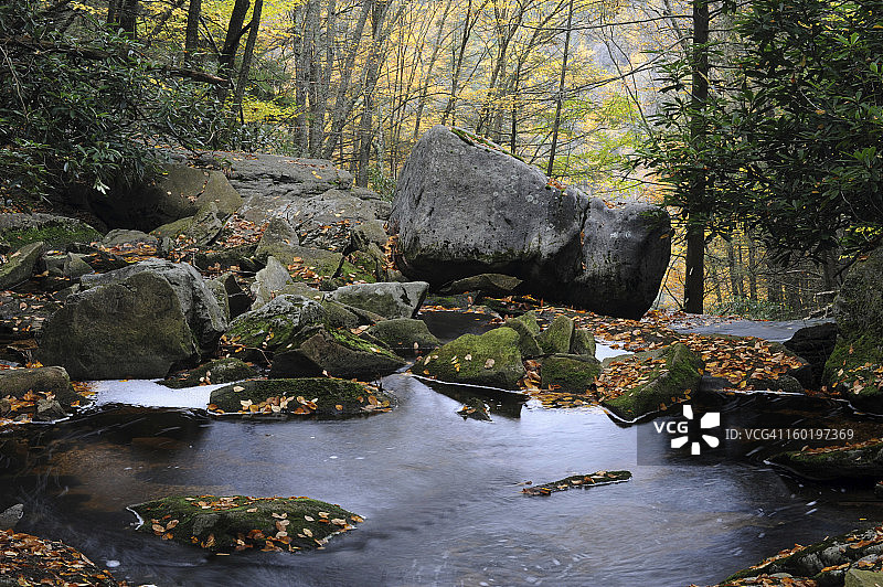 秋季的黑水瀑布州立公园图片素材