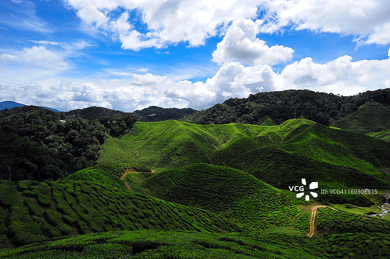 美丽的景观图片素材
