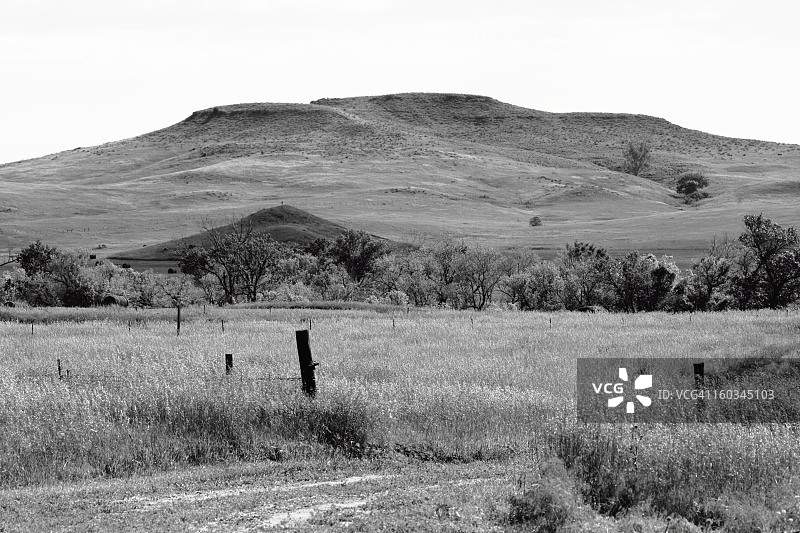 黑白牧场风光图片素材