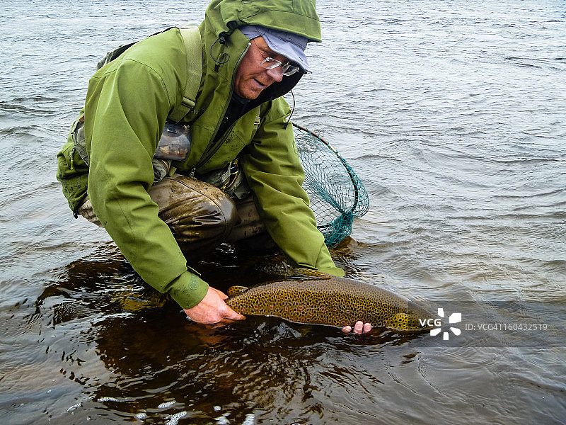 在科拉天鹅岛捕获的鳟鱼图片素材