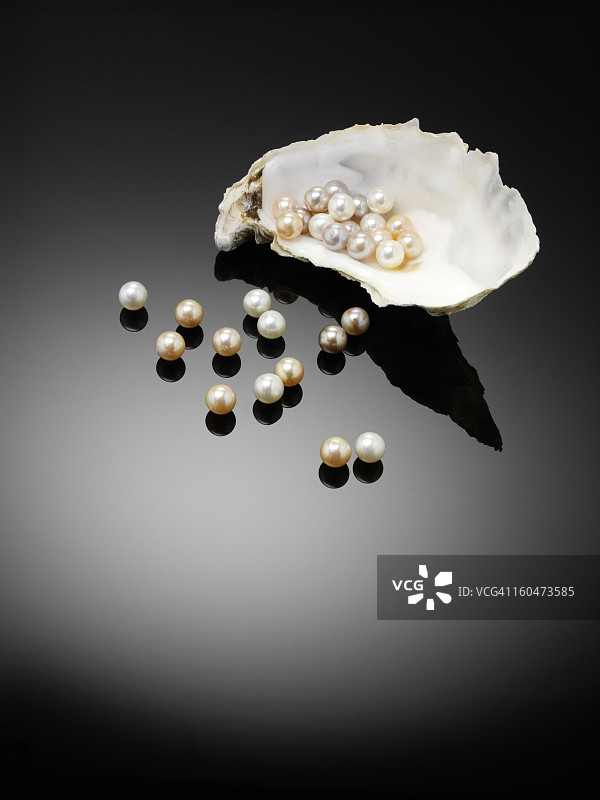 全有机珍珠和牡蛎图片素材
