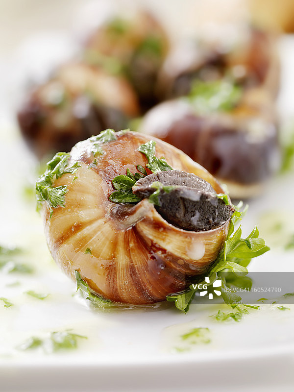 埃斯卡戈特图片素材