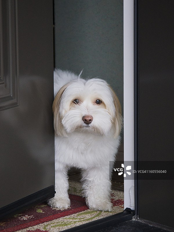 你好！有什么可以帮您吗？图片素材