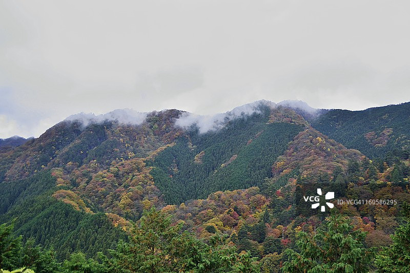 山中已近冬图片素材