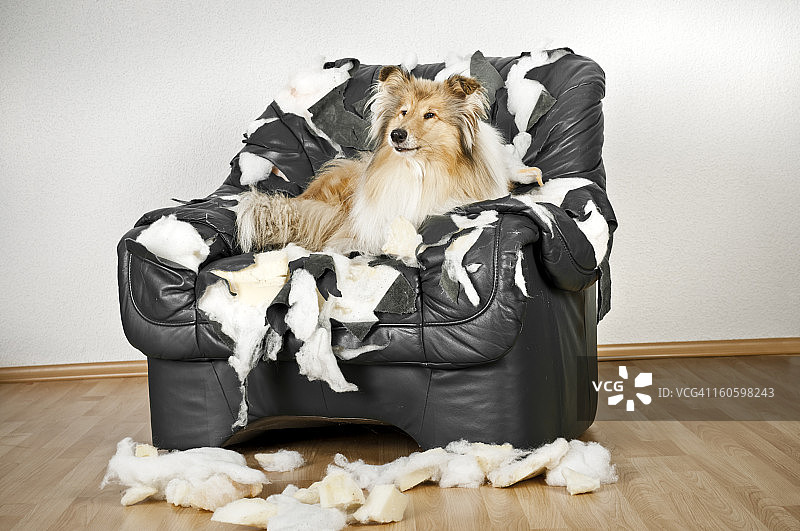 损坏的椅子图片素材