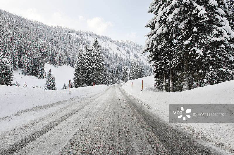 雪景冬日公路与常绿植物图片素材