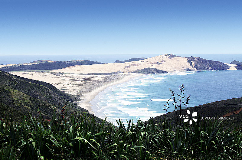 新西兰北地雷因格角图片素材