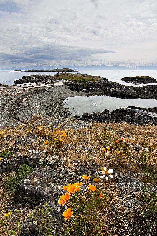 维多利亚的秘密图片素材