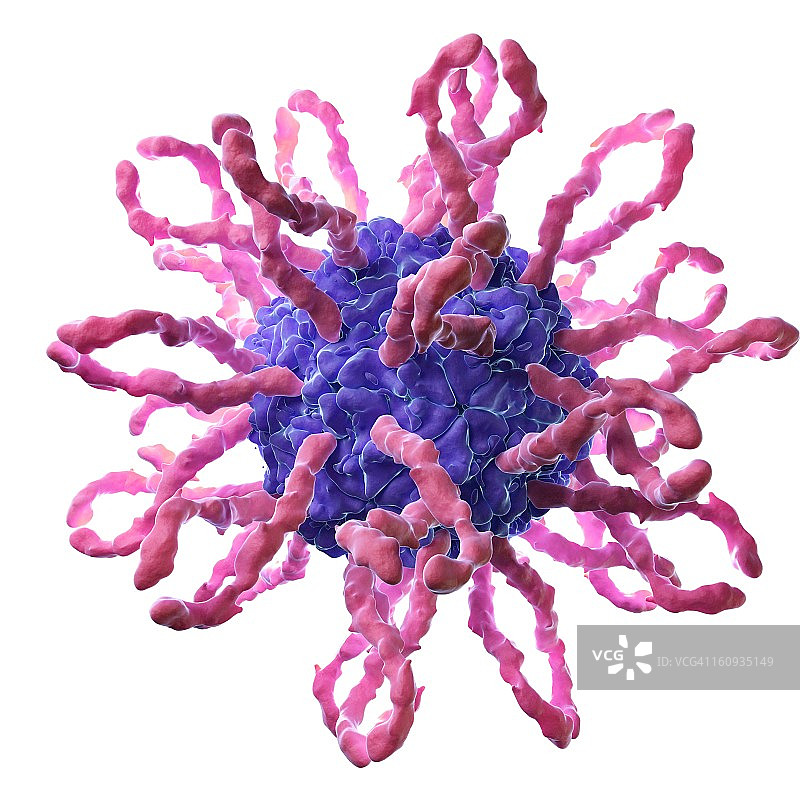 柯萨奇病毒图片素材