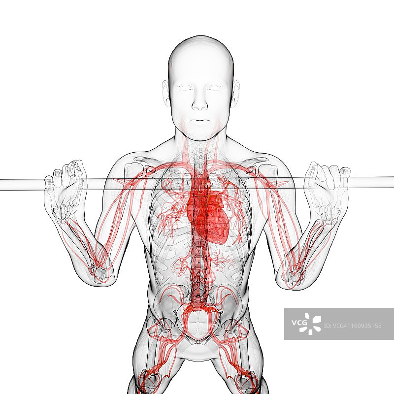 举重运动员艺术作品图片素材