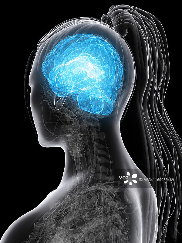 女性大脑艺术作品图片素材