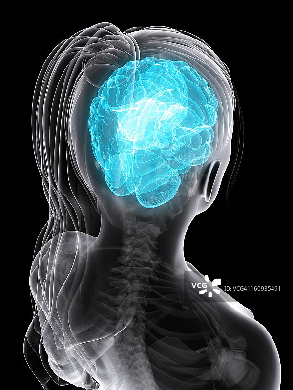 女性大脑艺术作品图片素材