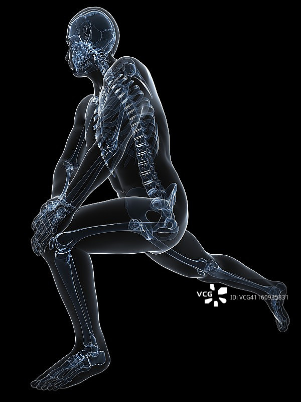 男性解剖学、艺术品图片素材