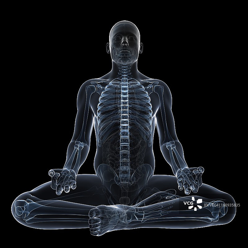 男性解剖学、艺术品图片素材