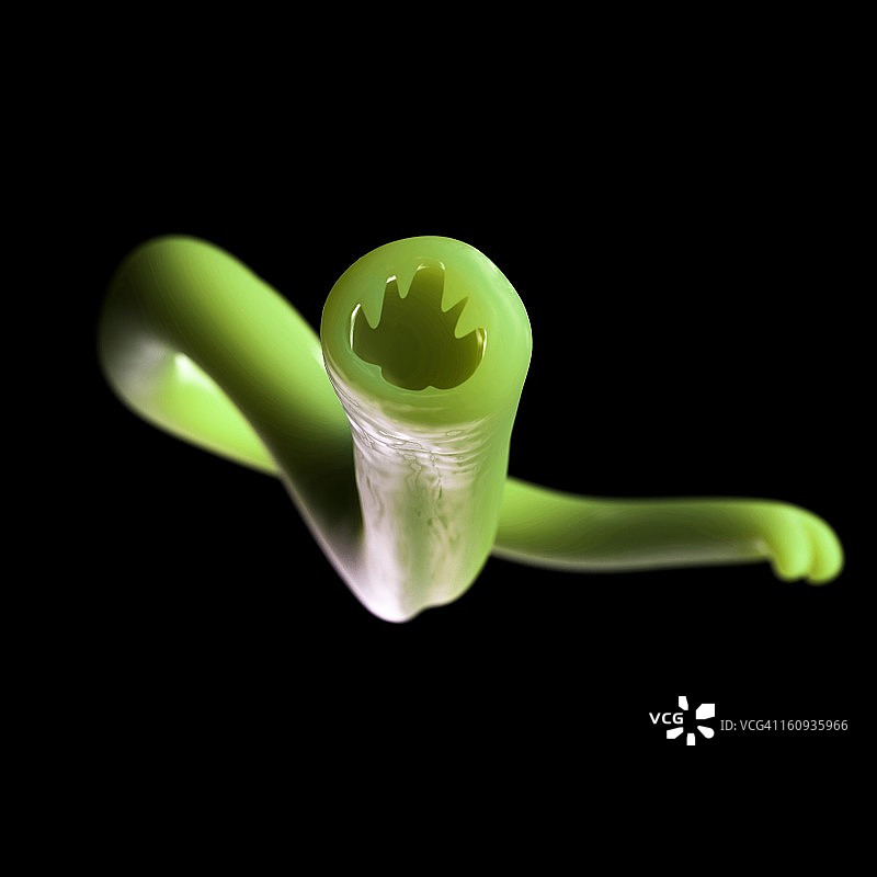 钩虫艺术图图片素材