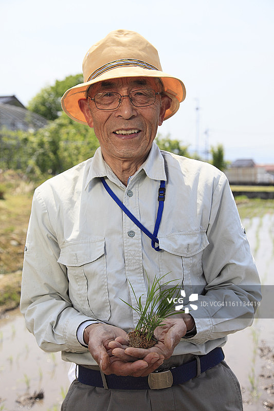 农民手捧秧苗图片素材
