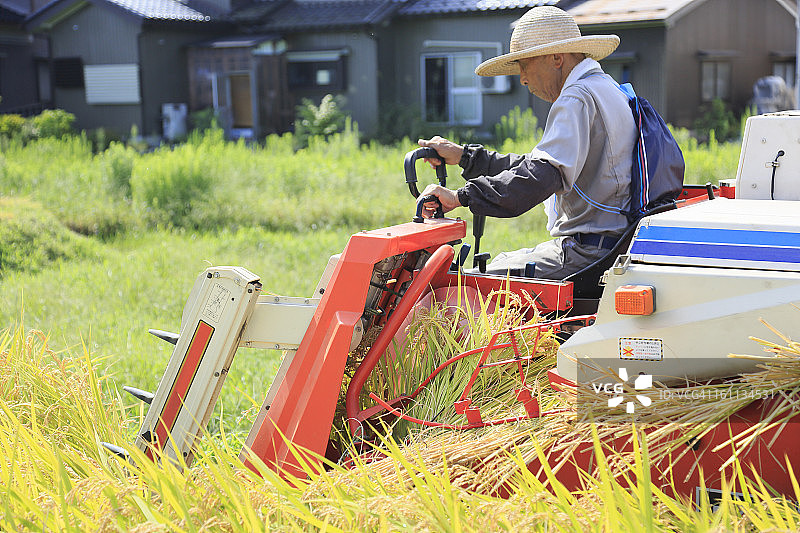 农民用联合收割机收割稻米图片素材