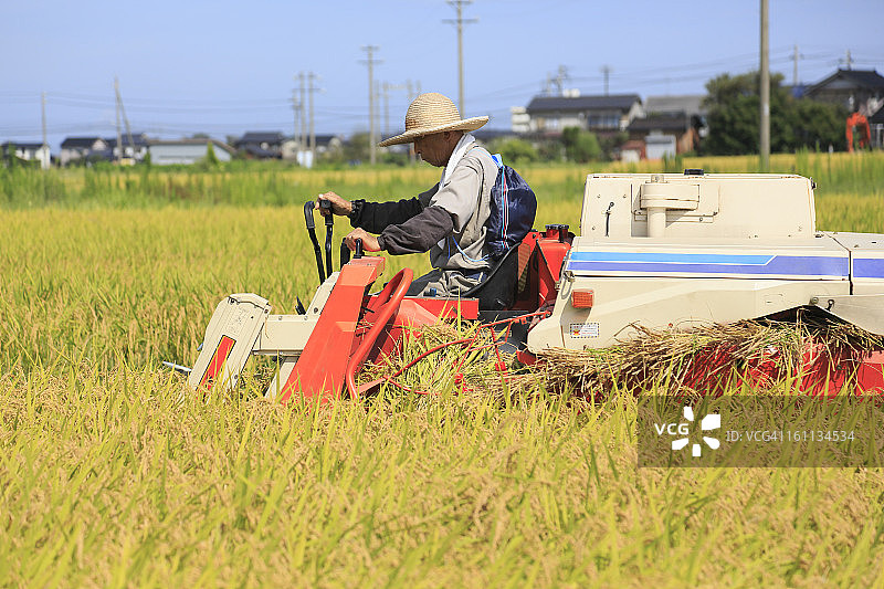 农民用联合收割机收割稻米图片素材